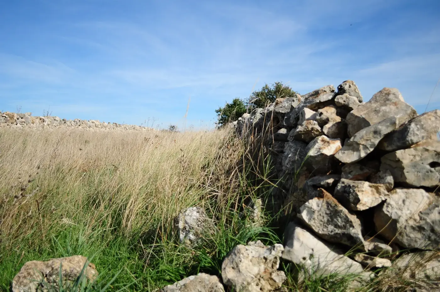Dry-stone walls along a country track in Puglia