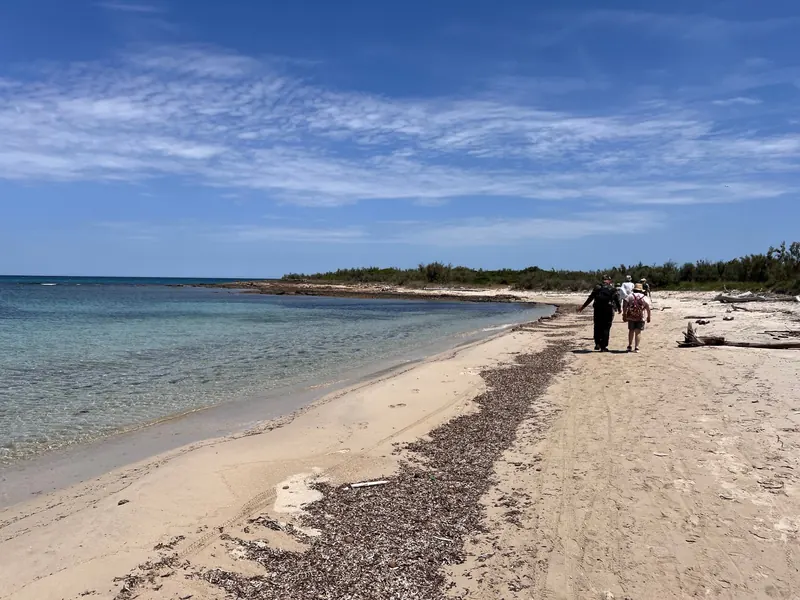 Beach in the Torre Guaceto marine reserve