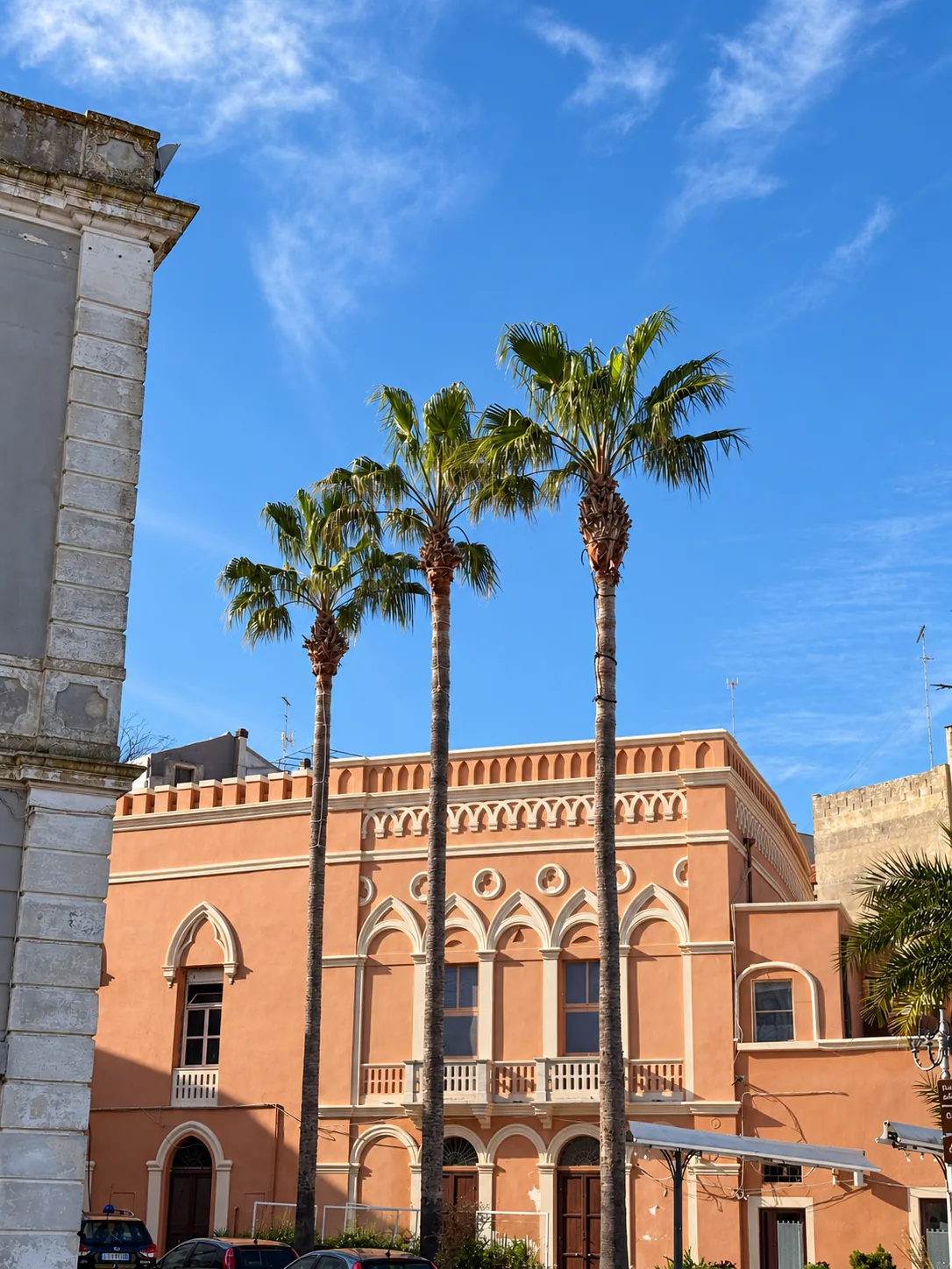 Palm trees and old palazzi in Brindisi